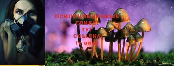 таблы Алзамай