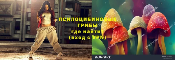 крисы Алексин